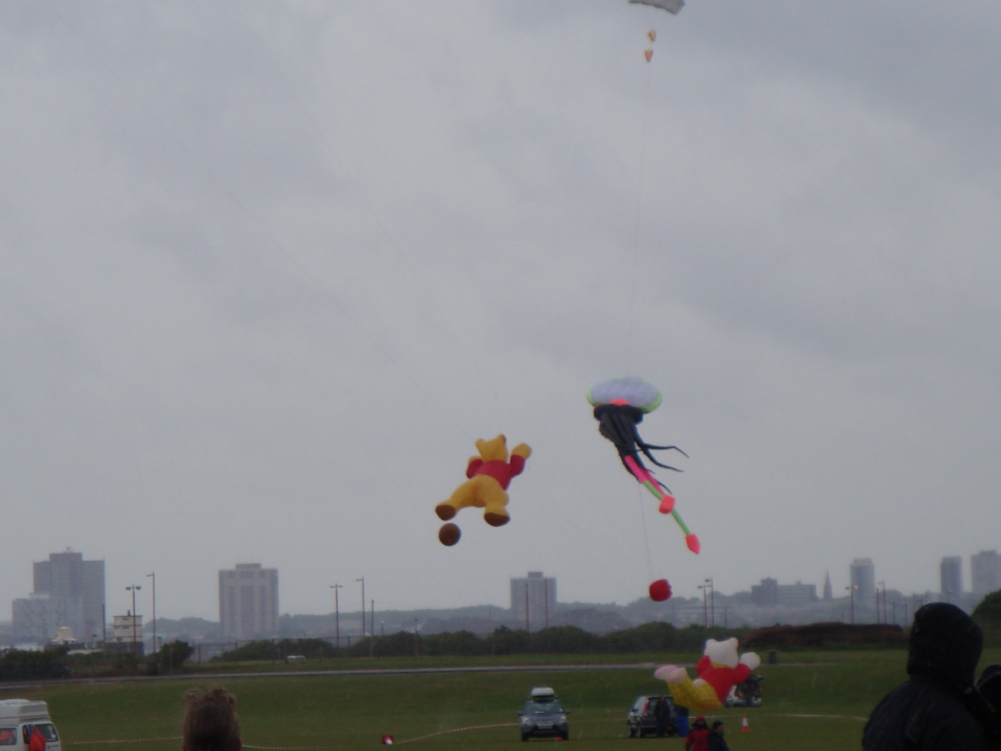Attached picture Kite 6.jpg